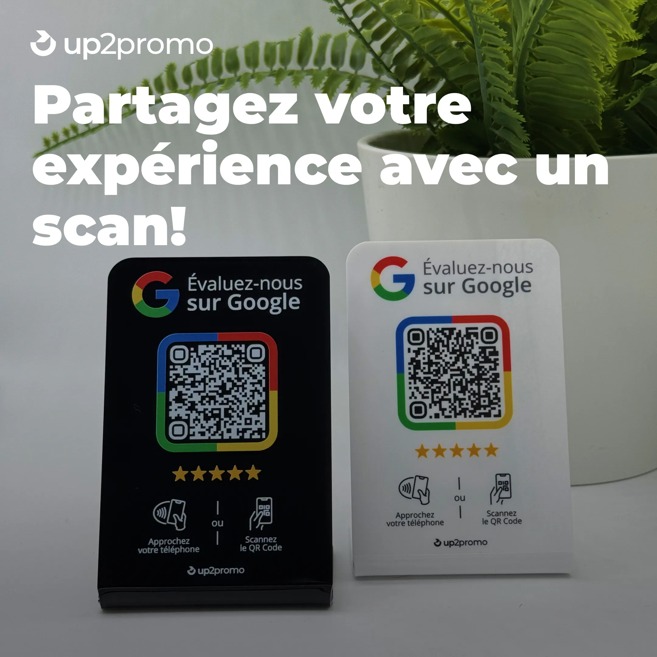 Exemples de campagnes réussies d’augmentation d’avis positifs et leurs résultats