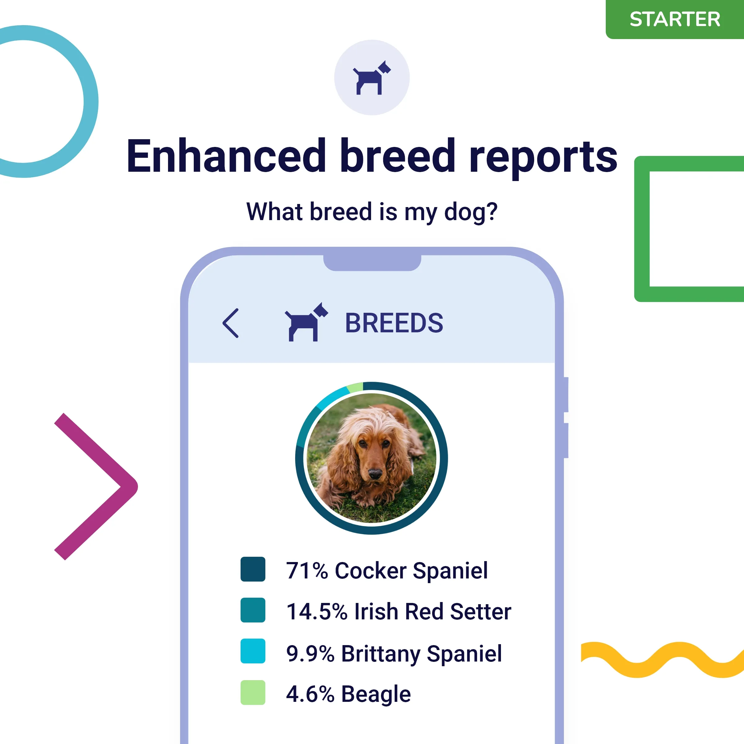 What DNA My Dog Actually Does