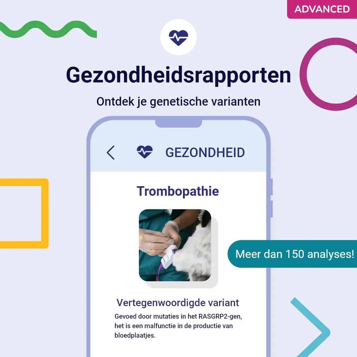 DNA-test Advanced voor honden: 175 rapporten over gezondheid en rassen –  Koko Genetics, image size:1200x1200