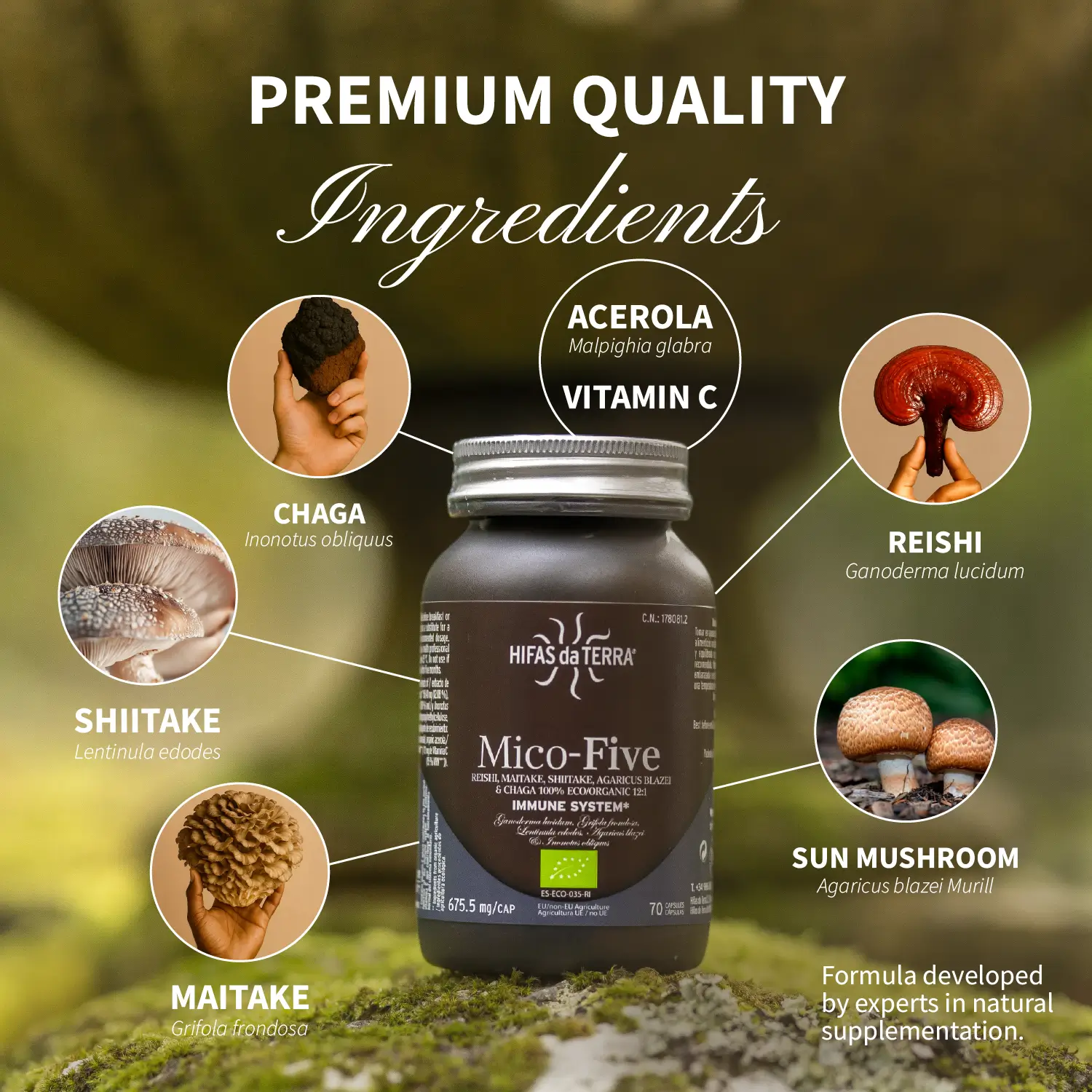 Mico Five + vitC! Enliven the immune system | Hifas da Terra