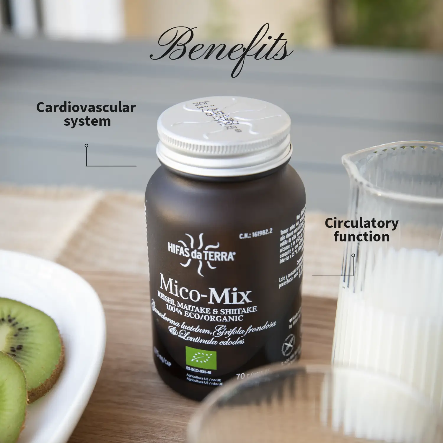 Buy Mico-Mix: Shiitake, Reishi and Maitake | Hifas da Terra