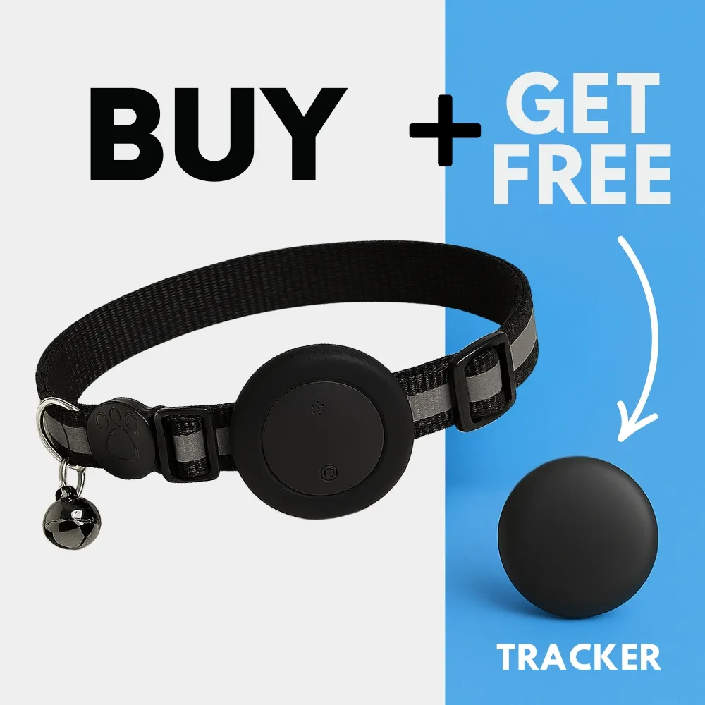 TrackGo Cat Collar