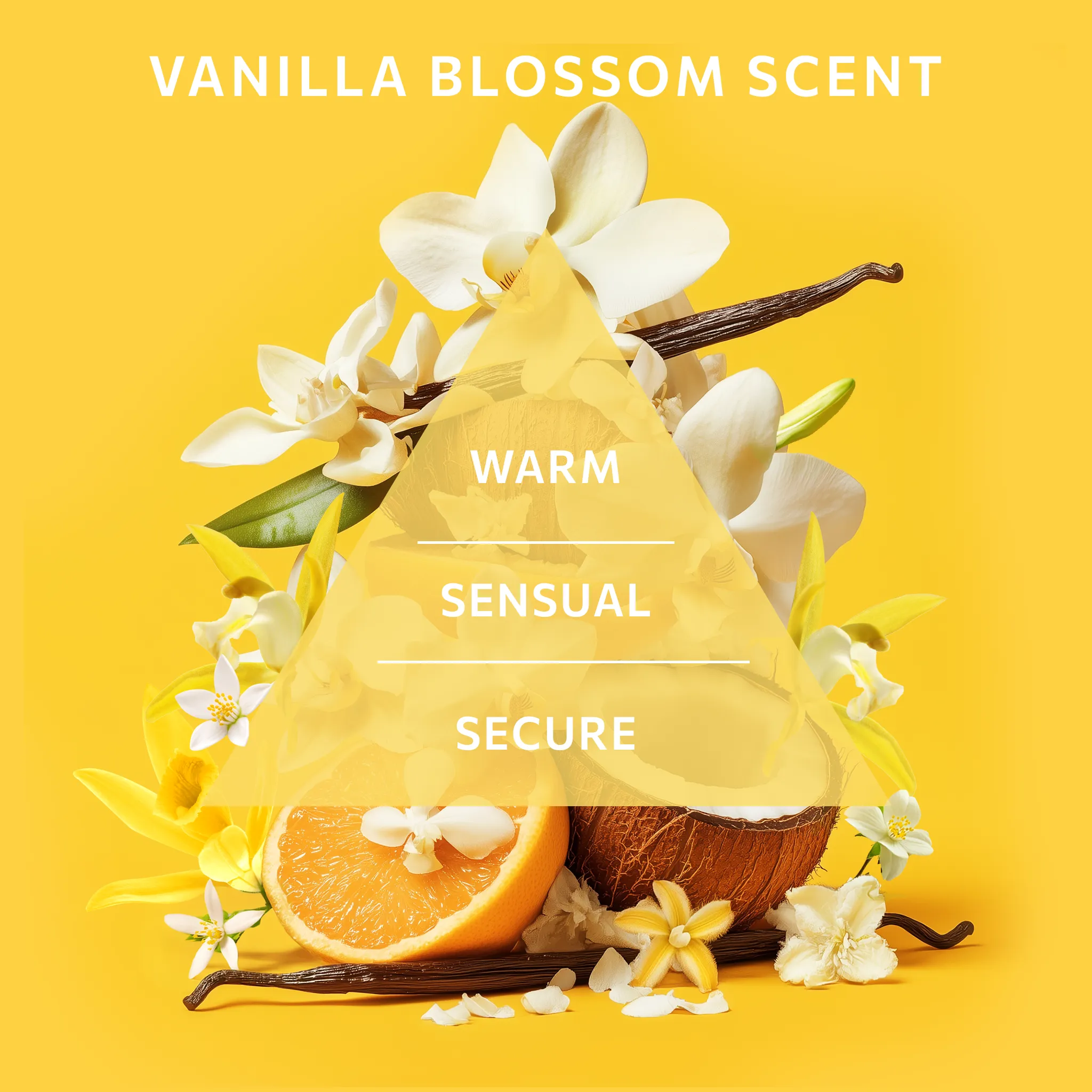 Hand Cream Gift Set | Dry, demanding skin | VANDINI